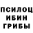 Псилоцибиновые грибы Psilocybe wampir Dragons