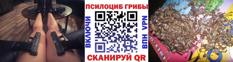 Псилоцибиновые грибы прущие грибы  наркотики  Хабаровск 