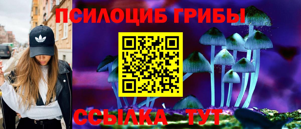 Хабаровск  Псилоцибиновые грибы мицелий  Вход с VPN  Псилоцибиновые грибы ЛСД 